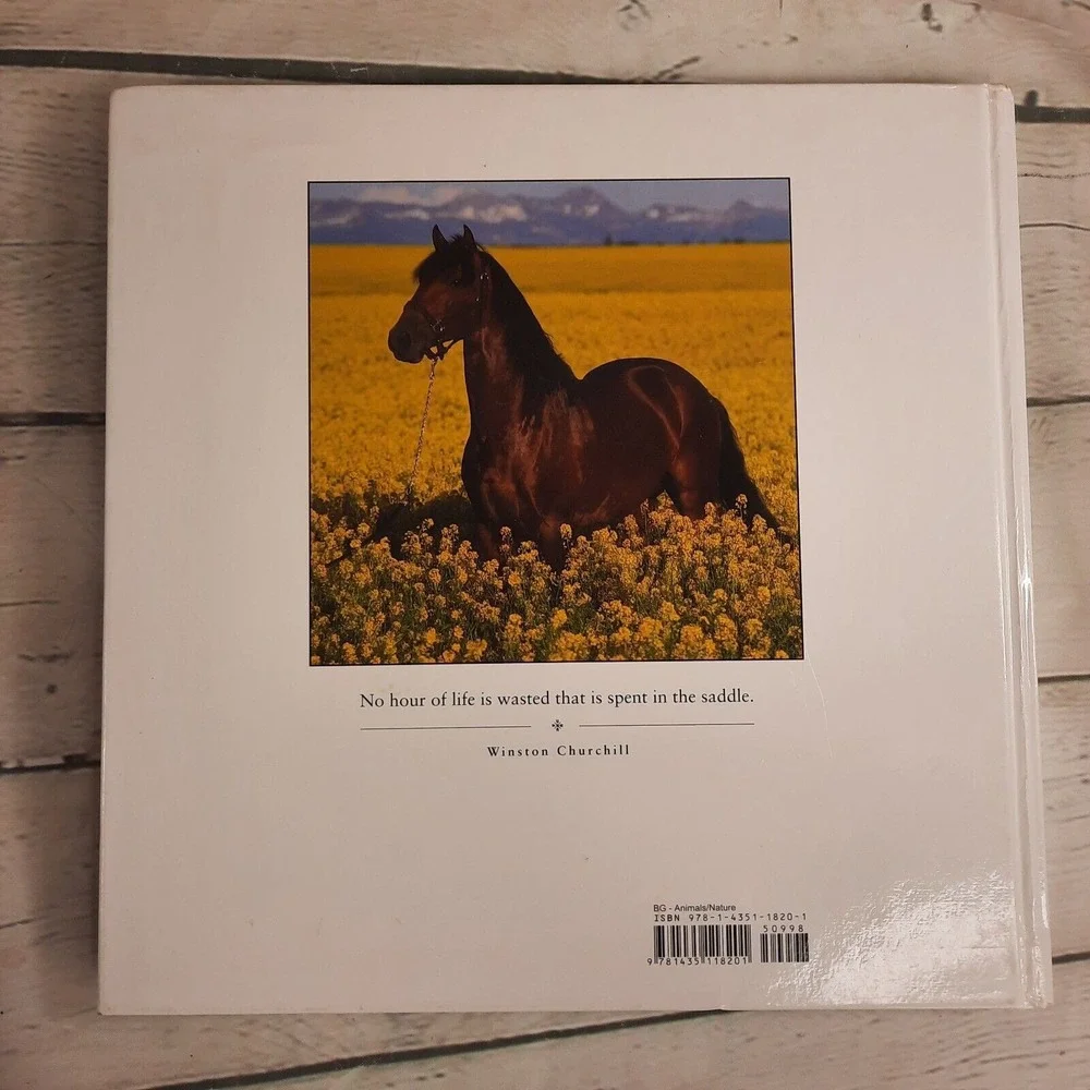 The Book of Horses by Nicola Jane Swinney 2009 Hard Cover